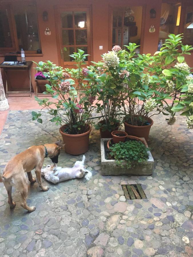 Casa Deogracias Βίλα Veguellina de Órbigo Εξωτερικό φωτογραφία